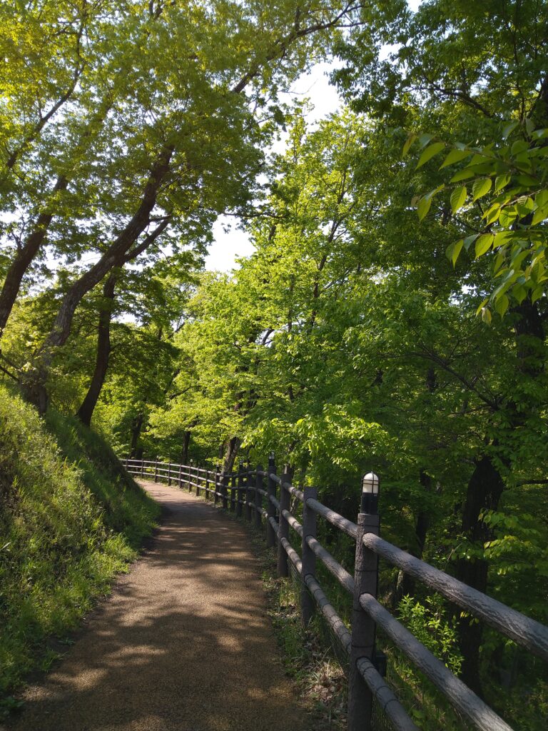 船岡城址公園入口すぐの様子を撮影した写真